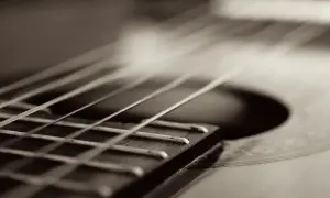 Zbliżenie na struny gitary klasycznej, z widocznym gryfem i fragmentem pudła rezonansowego.